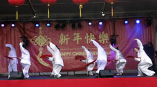 Tai Chi voor Chinees Nieuwjaar Rotterdam 2017